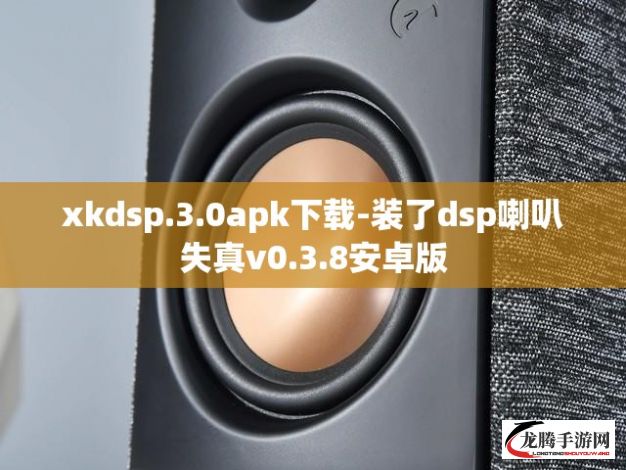 xkdsp.3.0apk下载-装了dsp喇叭失真v0.3.8安卓版